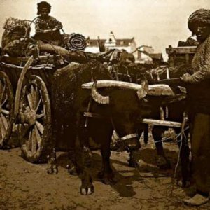 Balkan Savaşları Fotoğrafları 9