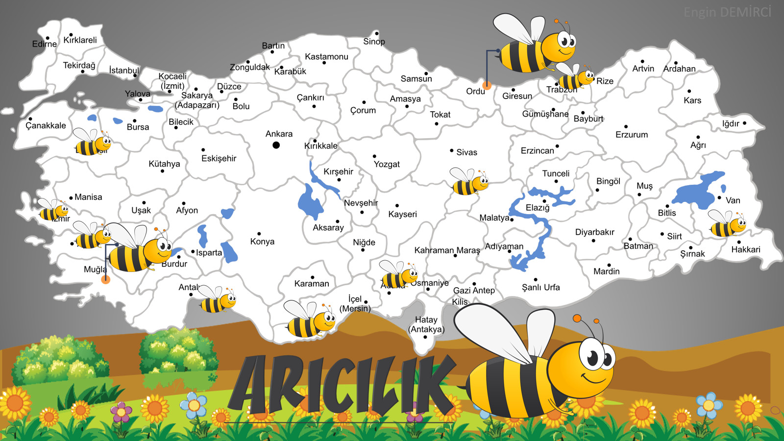 Arıcılık.jpg
