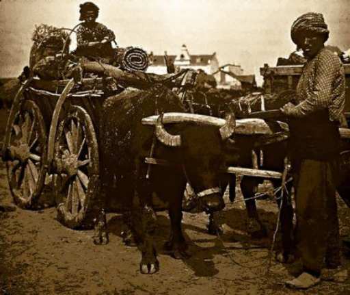 Balkan Savaşları Fotoğrafları 9