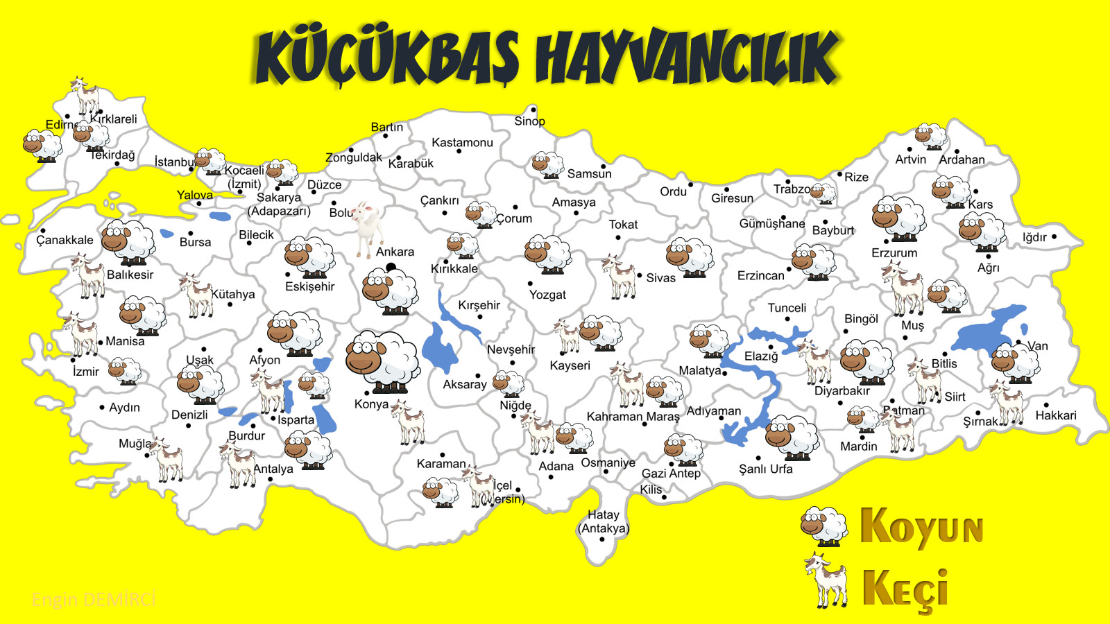 küçükbaş  hayvancılık.jpg
